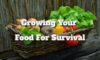 Growing Your Food for Survival – Tips and Practices