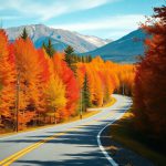 Fall Foliage Scenic Drives to Explore Across the U.S.