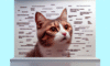 Cat Memes: Your Guide to Feline Internet Fame