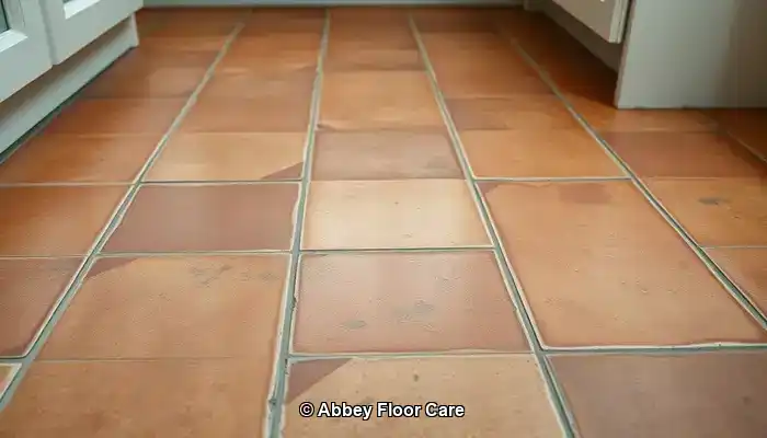 Understanding the Factors Behind Rapid Dirt Build-Up on Terracotta Tiles