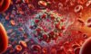 Ferritin Blood Test Insights for Torquay Residents