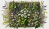 Herbal Remedies: Essential Guide for UK Beginners
