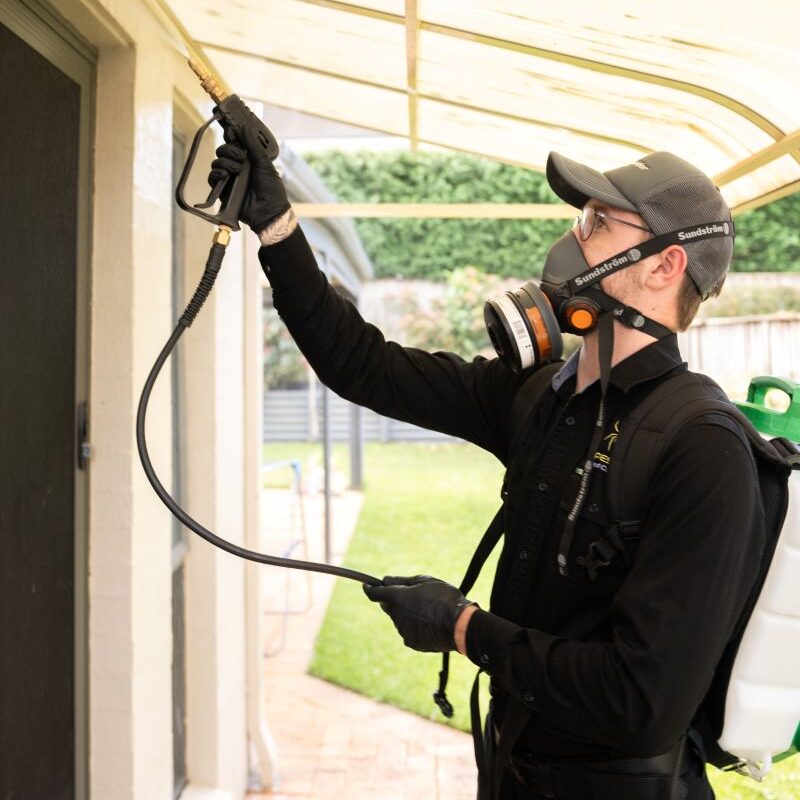 Roof Dusting Pest Control: Understanding Its Limited Necessity